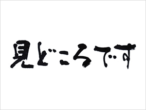 大島村夏祭り花火大会 達人navi平戸 世界文化遺産の島 長崎県平戸市の旅行は平戸観光協会